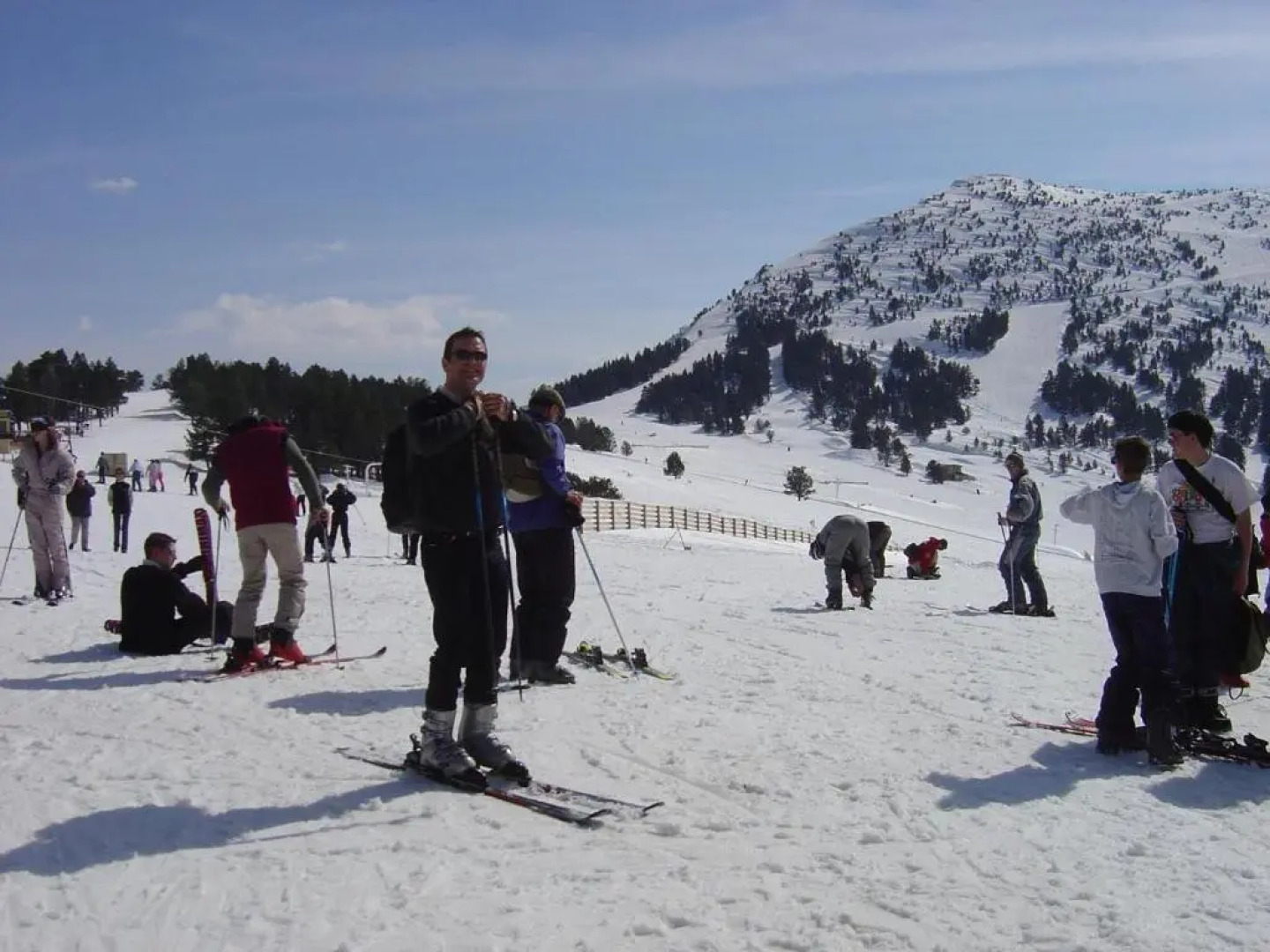 Les Feiches et Marguerites