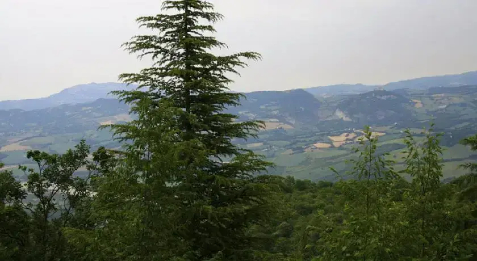 Casa Vacanze Monte Pincio