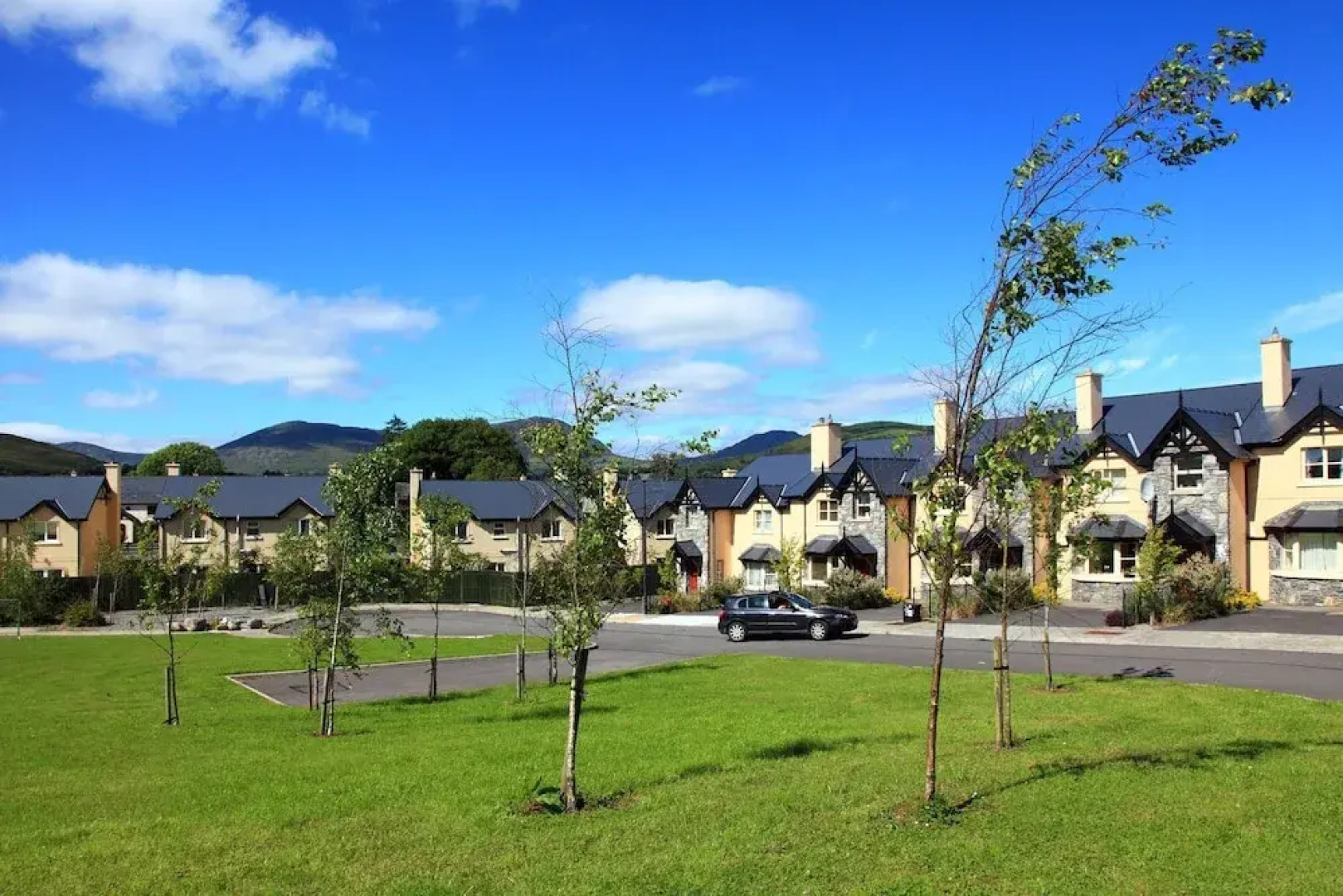 Ardmullen Walnut 3 bedroom