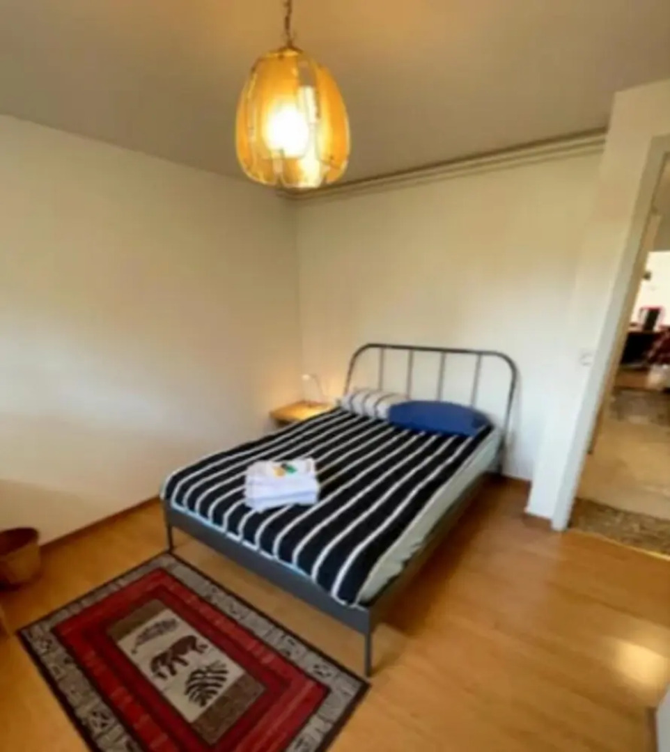 Efficient 2-bed Apartment in Vernier Geneva