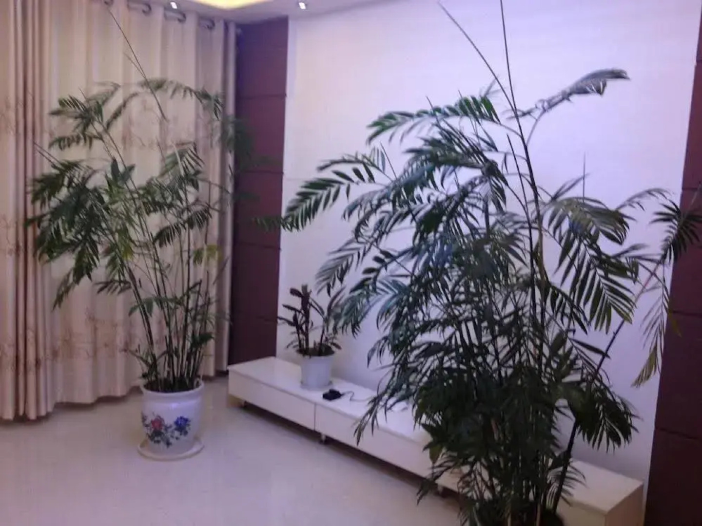 Yangcheng County Gucheng New District Agricola