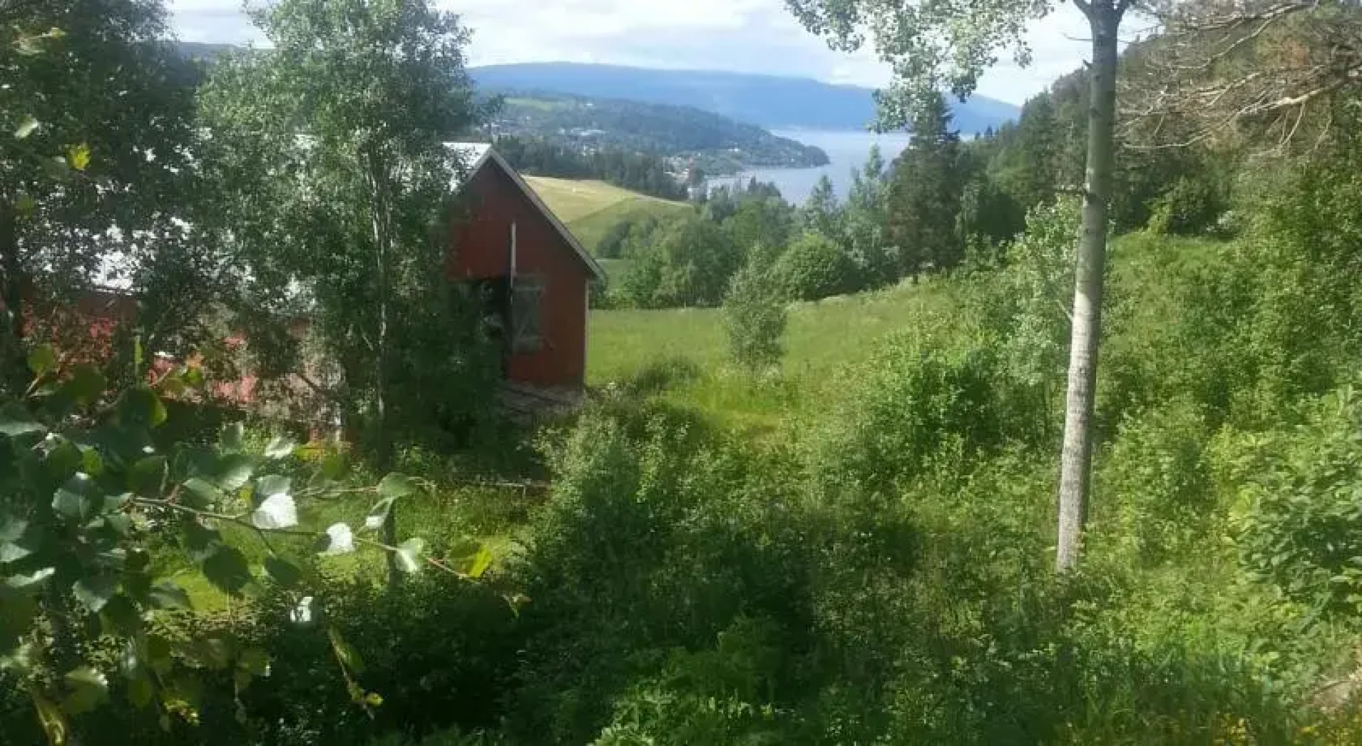 Hjorteskogen