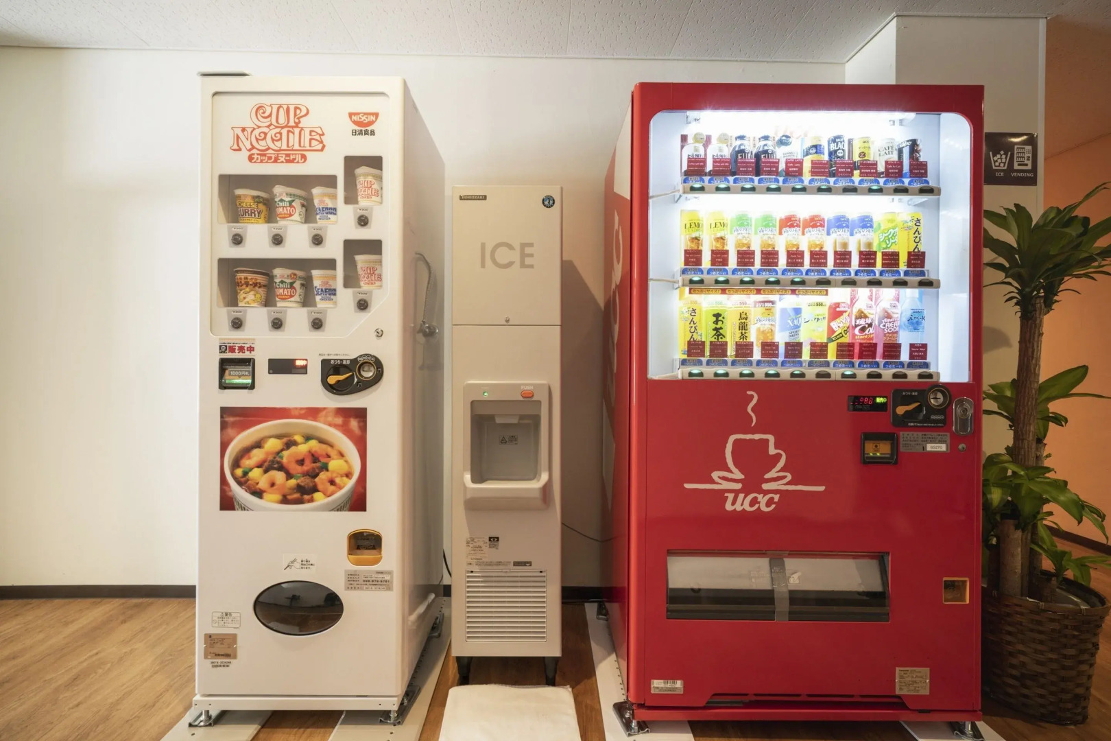 Rycom Family Resort Hotel