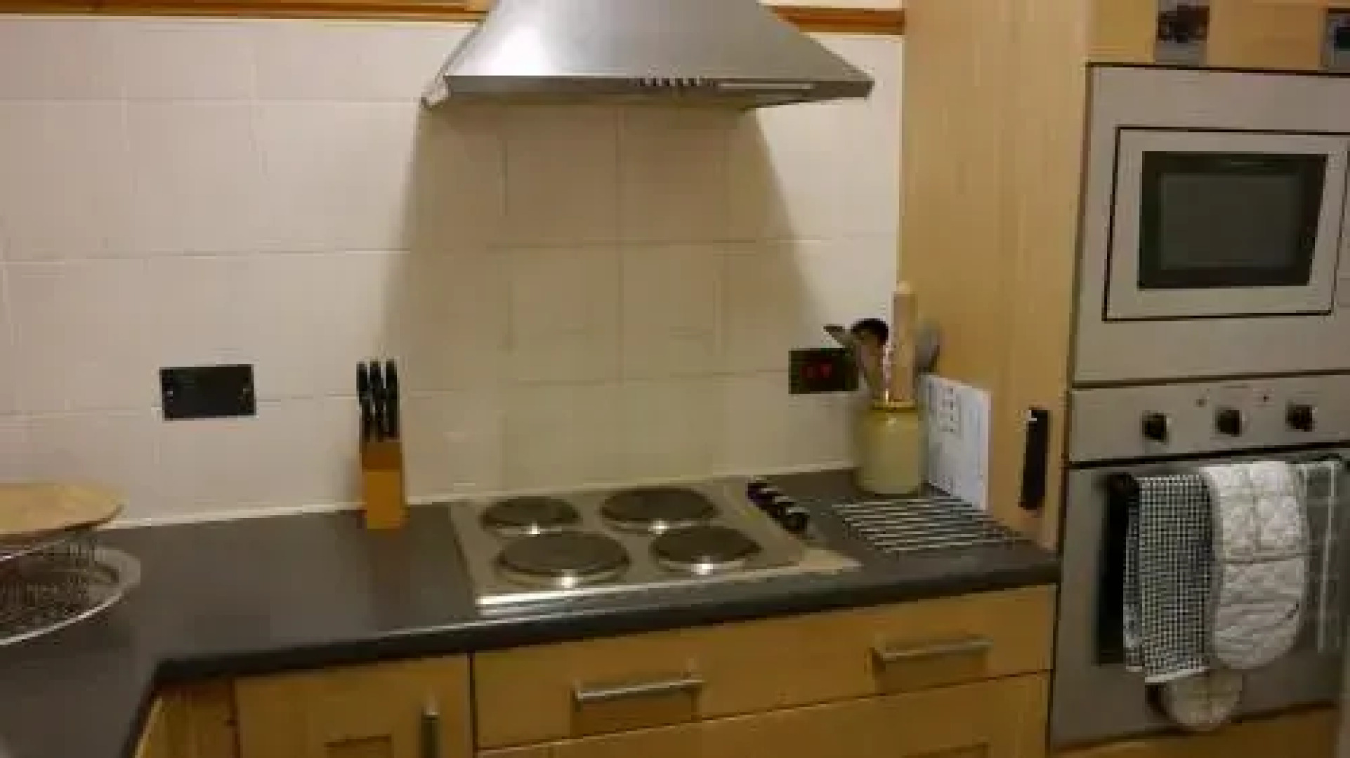 Elysian Fields @ Ing Hill Lodge