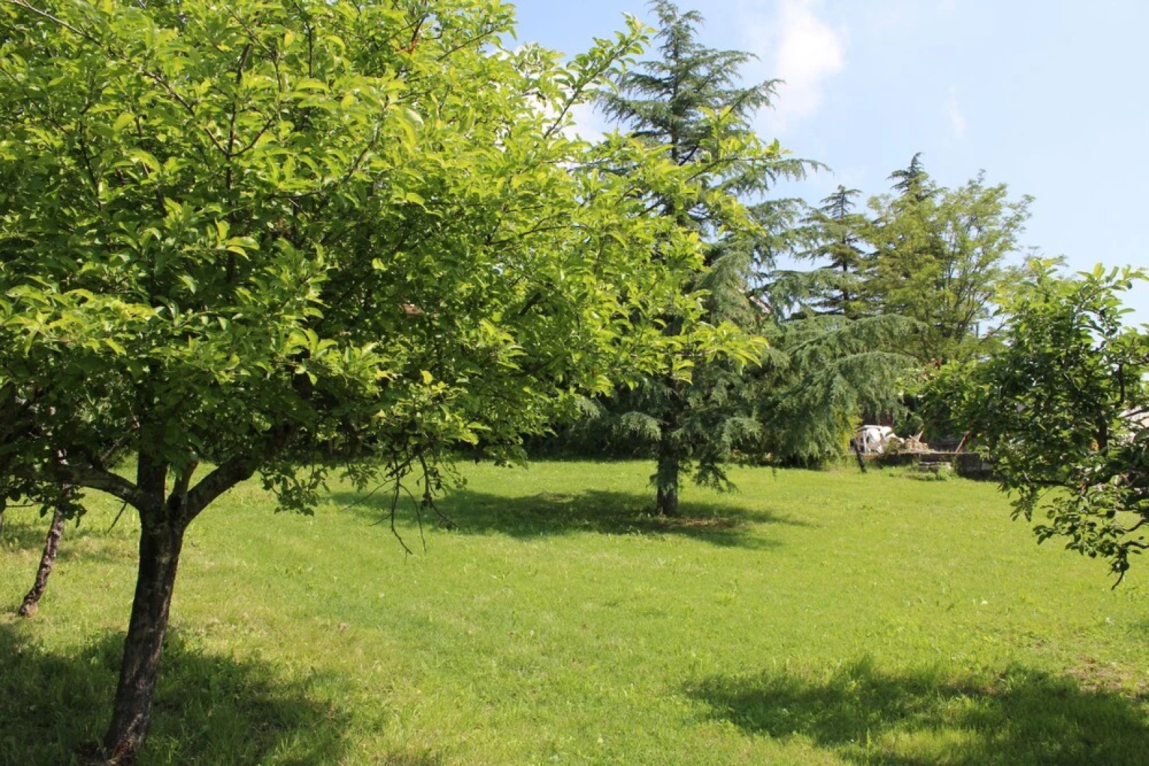 La Tinaia Del Glicine