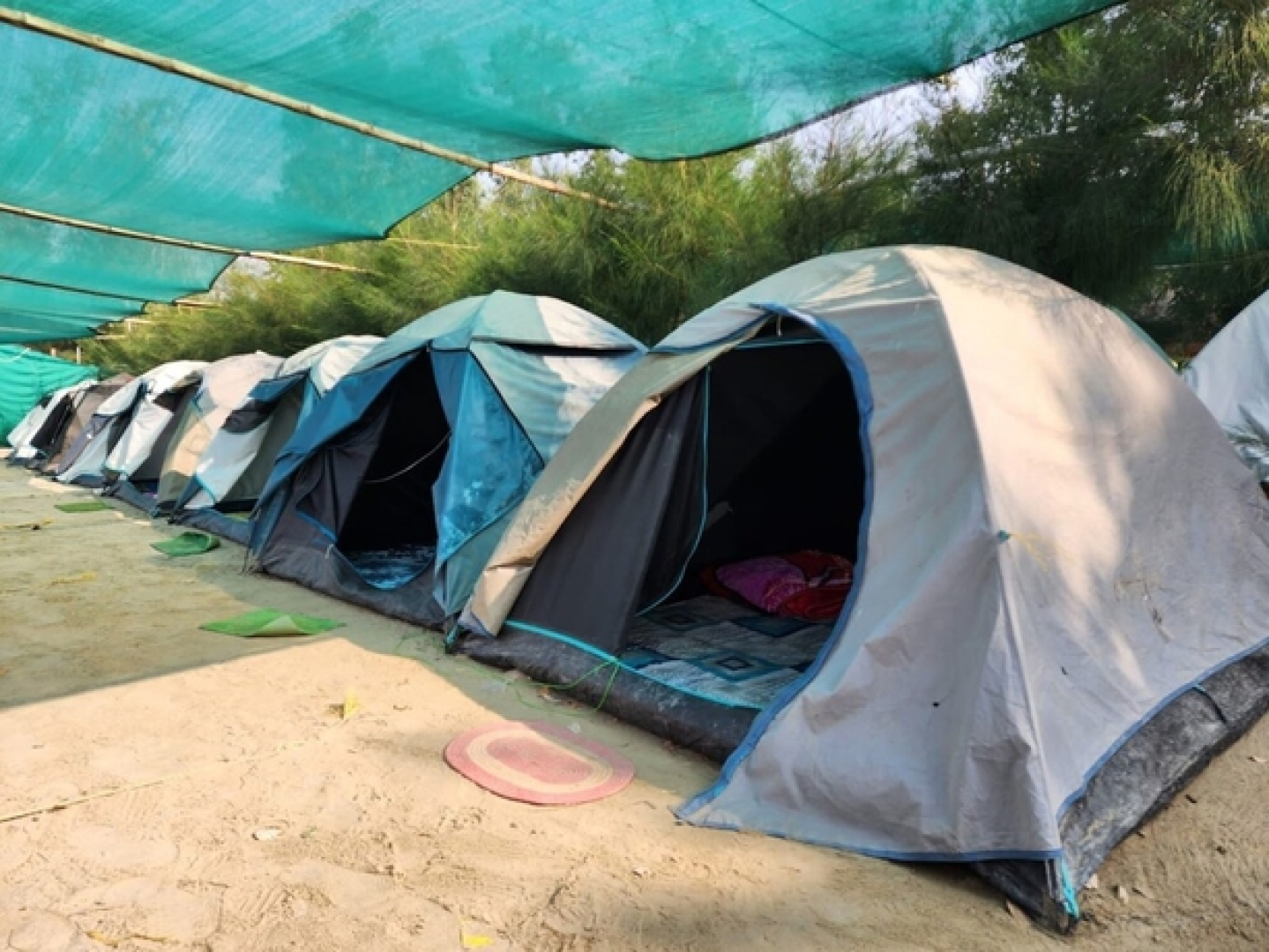 Mousuni the dolphin camp