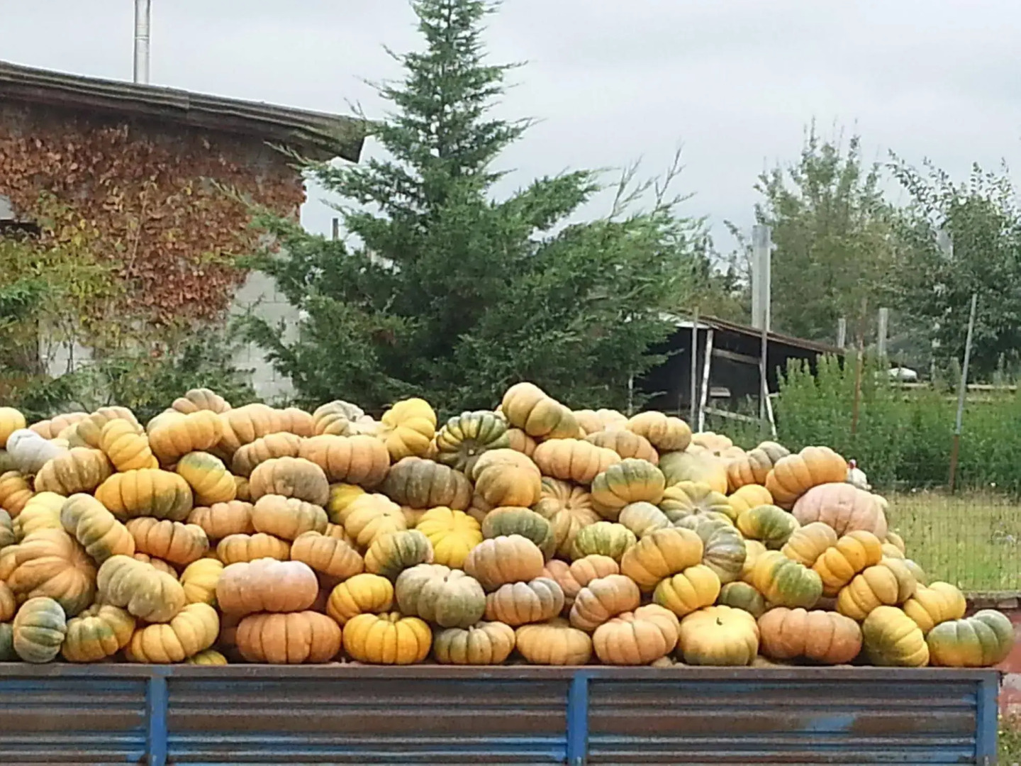 Agriturismo La Fattoria Del Boschetto