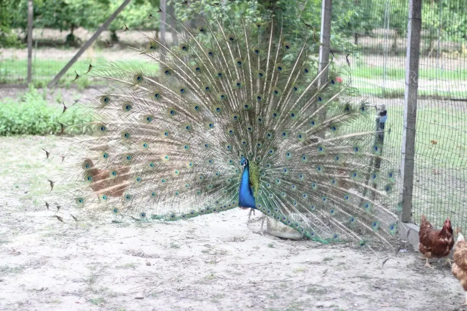 Agriturismo La Valle Dei Conti