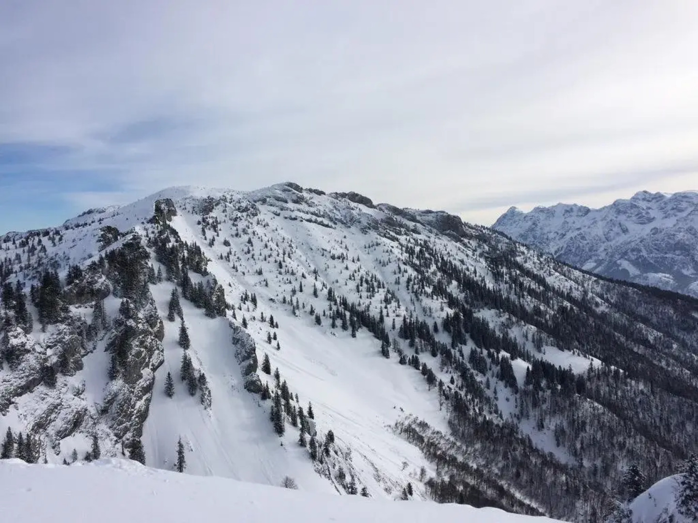 The Treehouse Backpacker Hotel