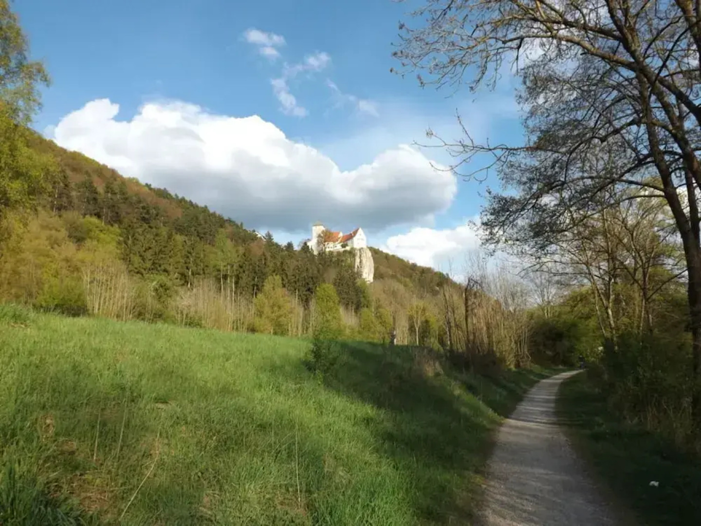 Baldauf Modern Retreat