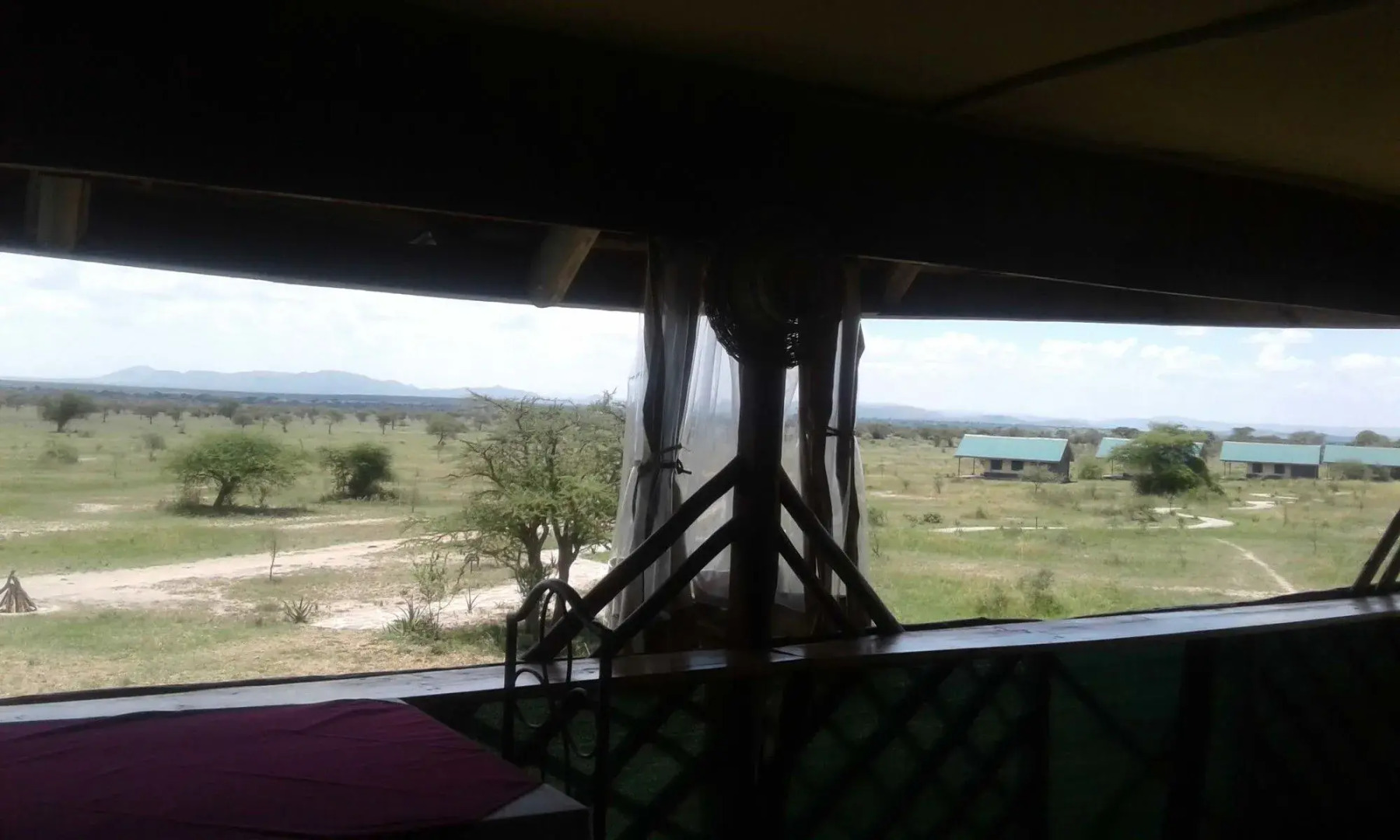 Zebra Kemang'ore Bush Tented Lodge