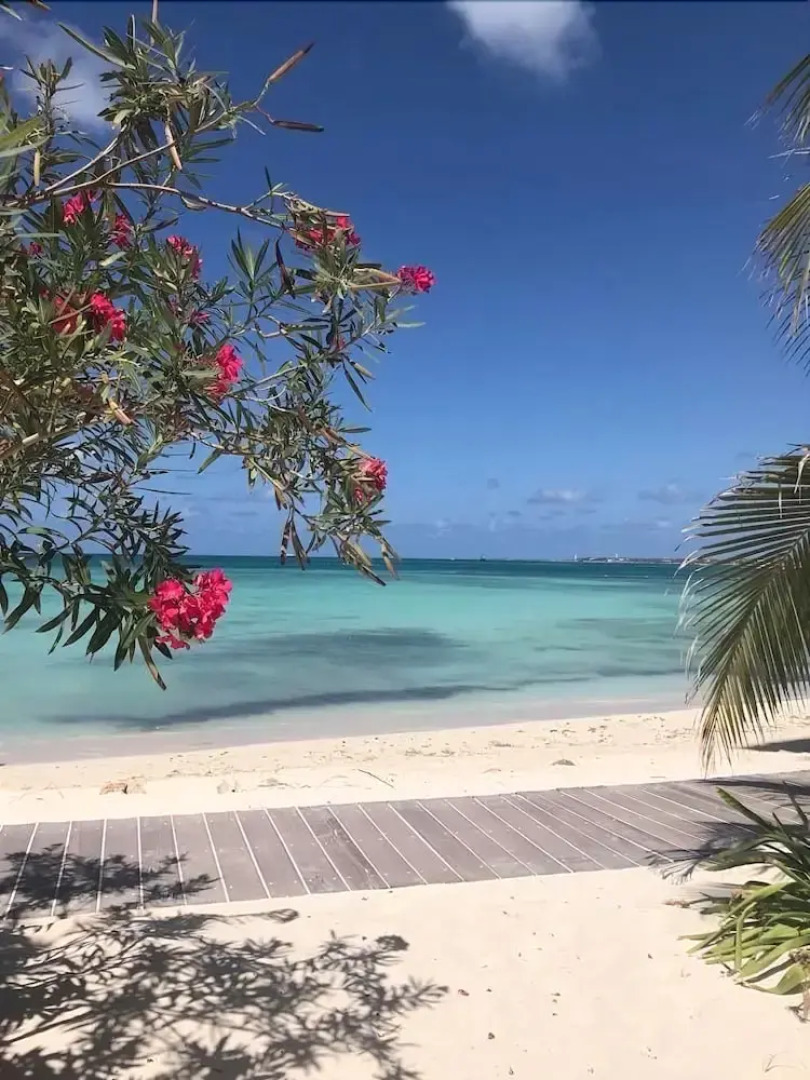 Palazzio Apartments & Studios