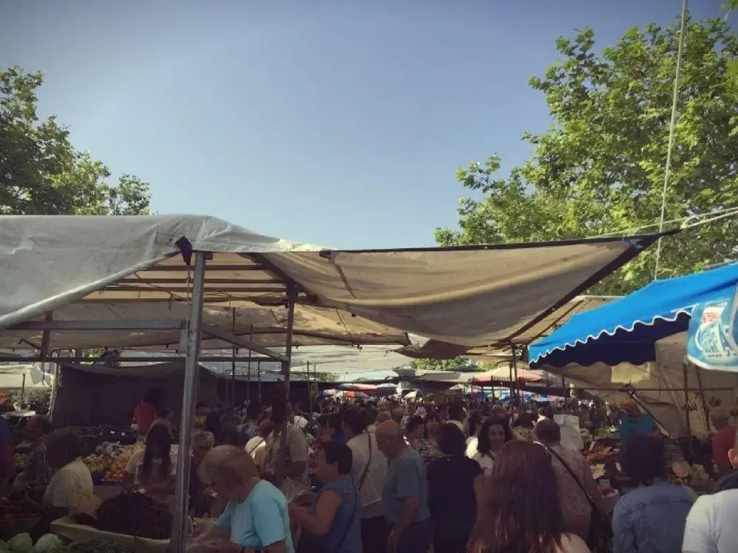 Green Coast Surfhouse