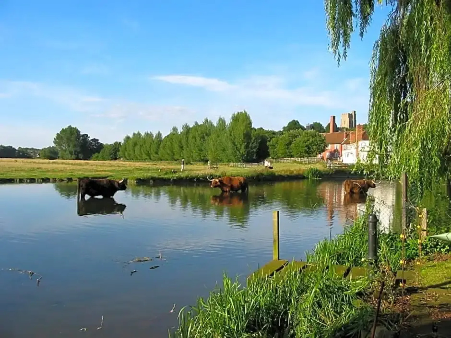 Mill House Bed & Breakfast