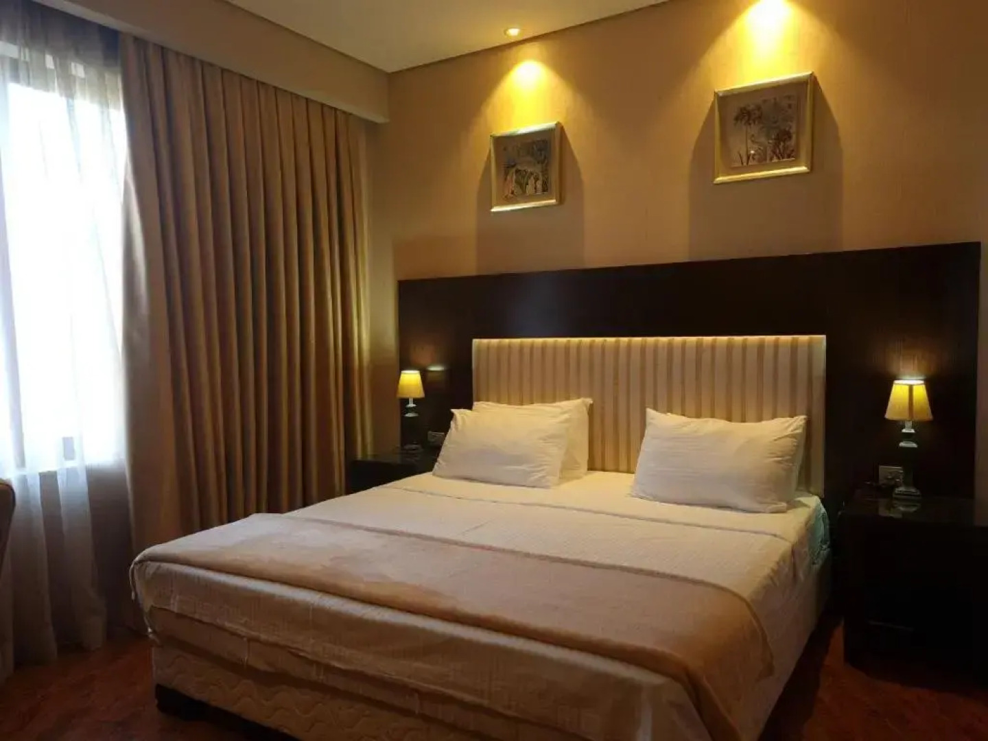 Luxury Dreamland Oasis Apartments