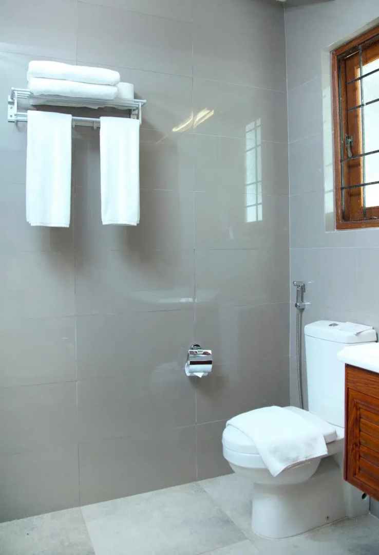 Palms, Mount Lavinia