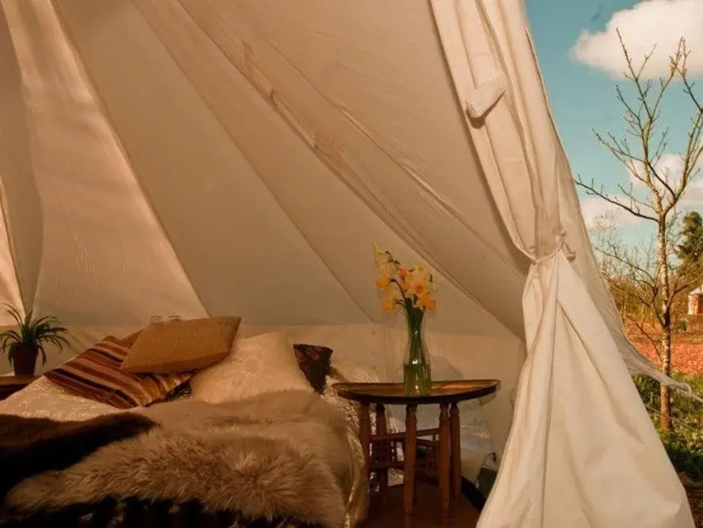 Plush Tents Glamping
