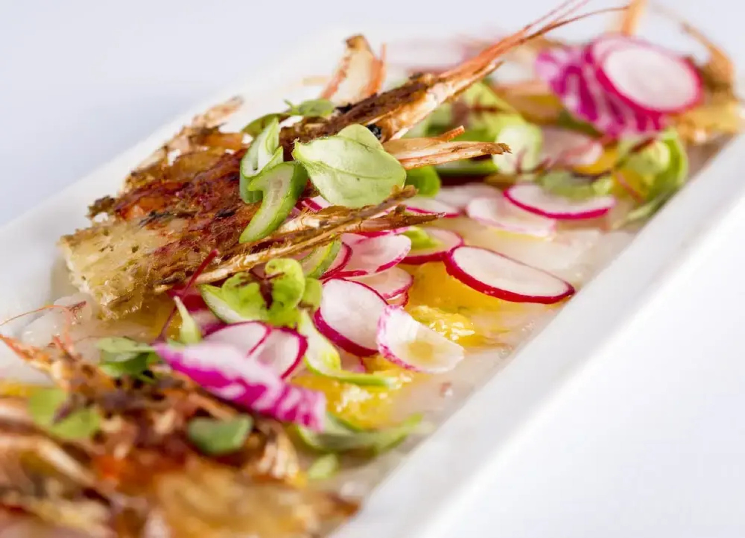 Les Bulles de Mer - Résidence