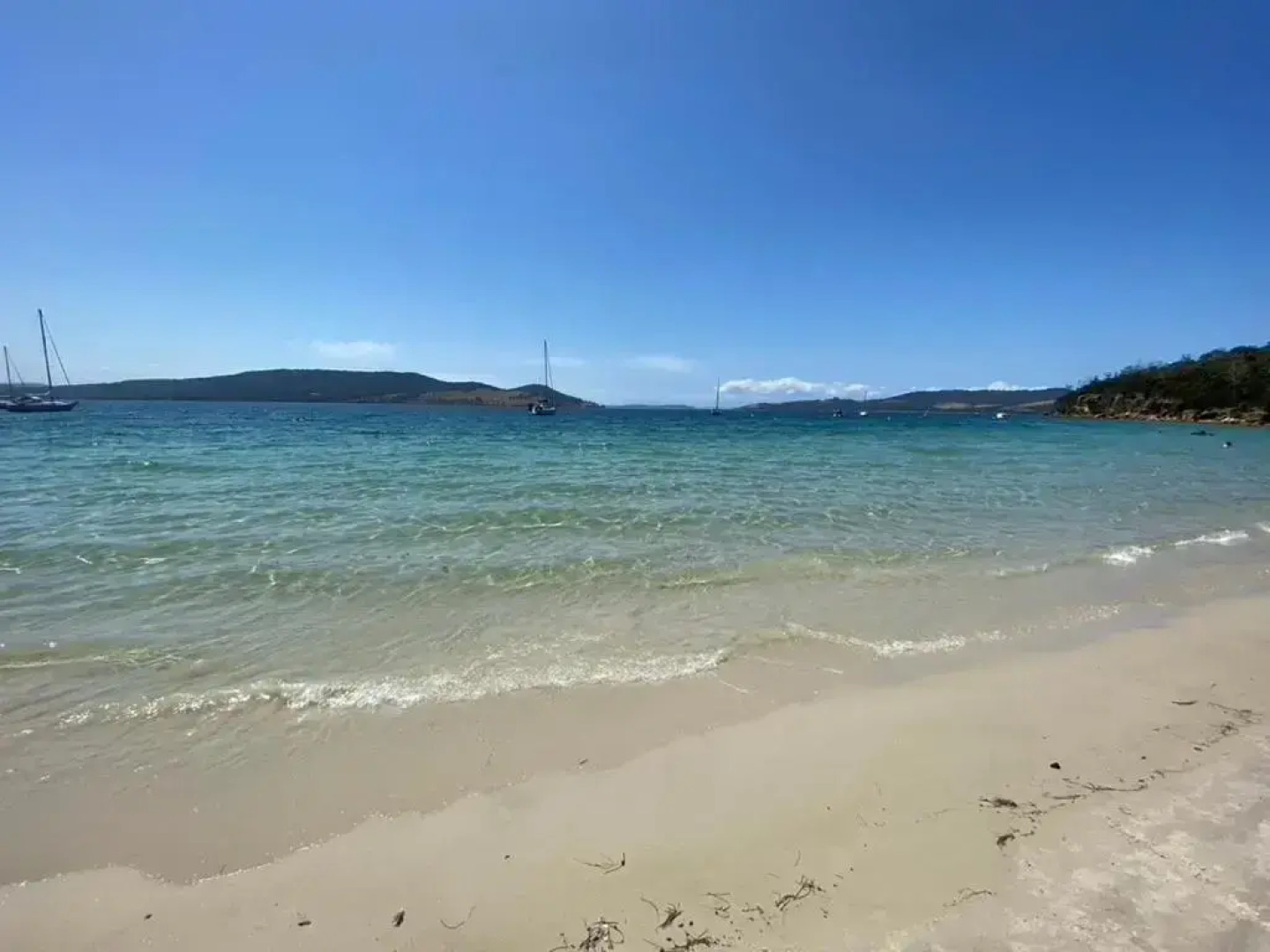 Coningham Beach House