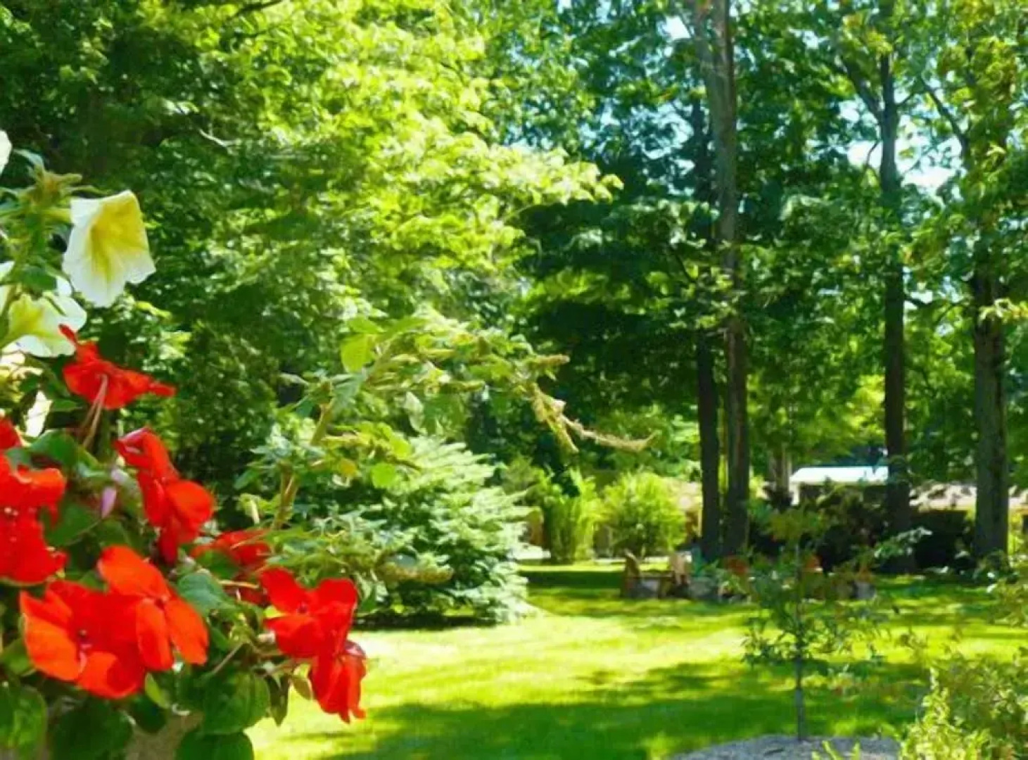 The Saugatuck Retro Resort Motel