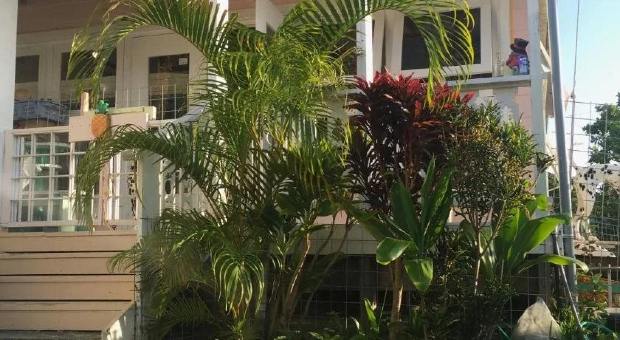 Guest House One One One