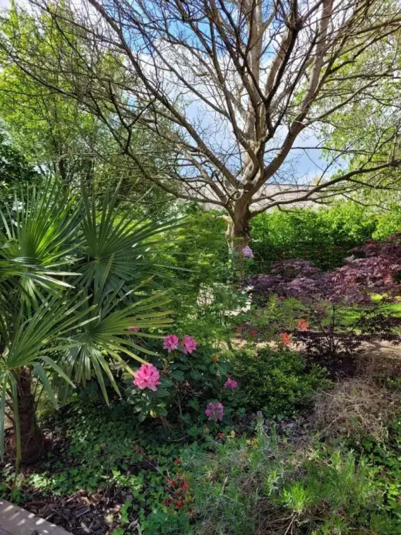 Gîte Falafa Normand