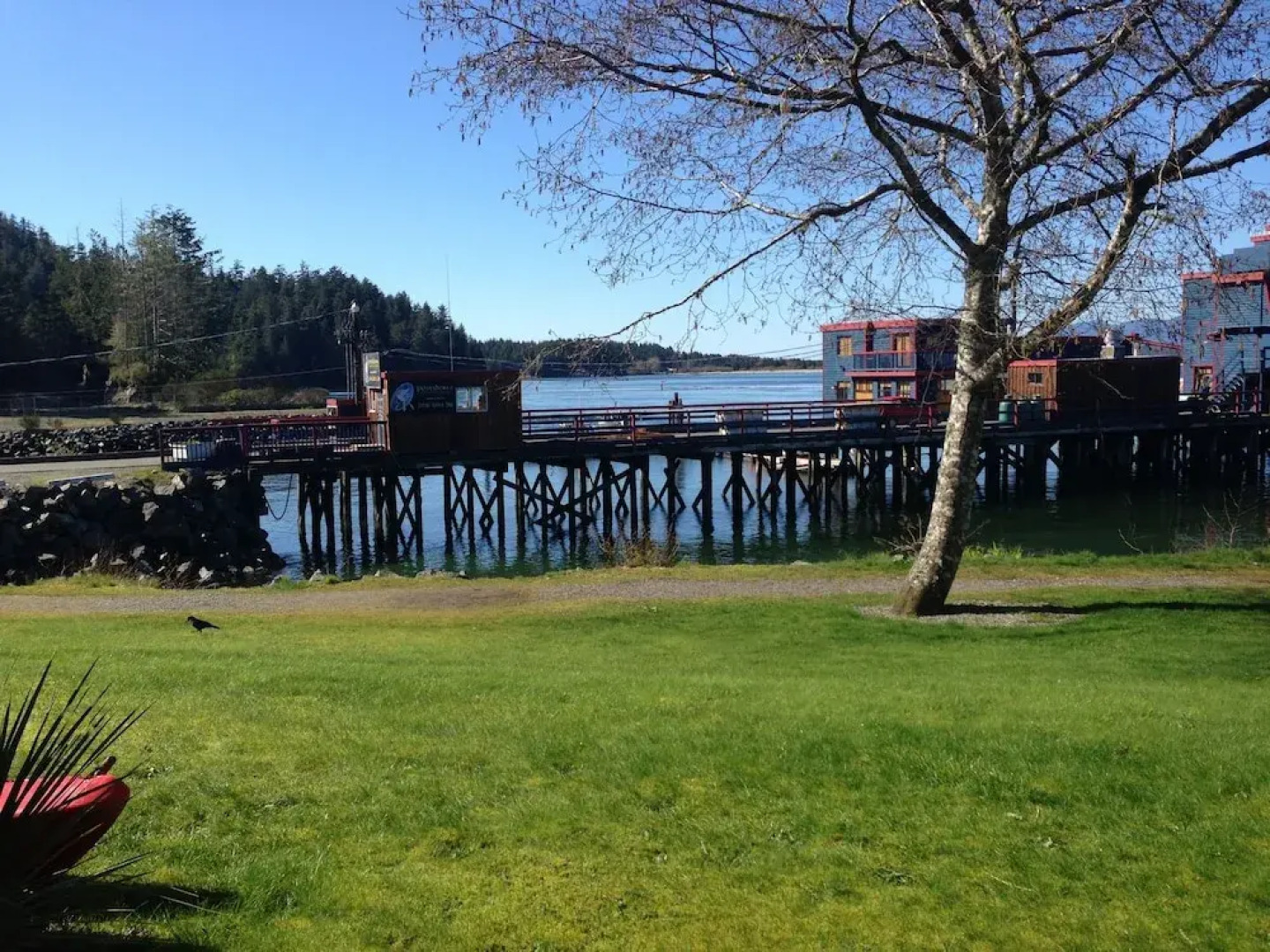 Fred Tibbs Ocean Front Condos