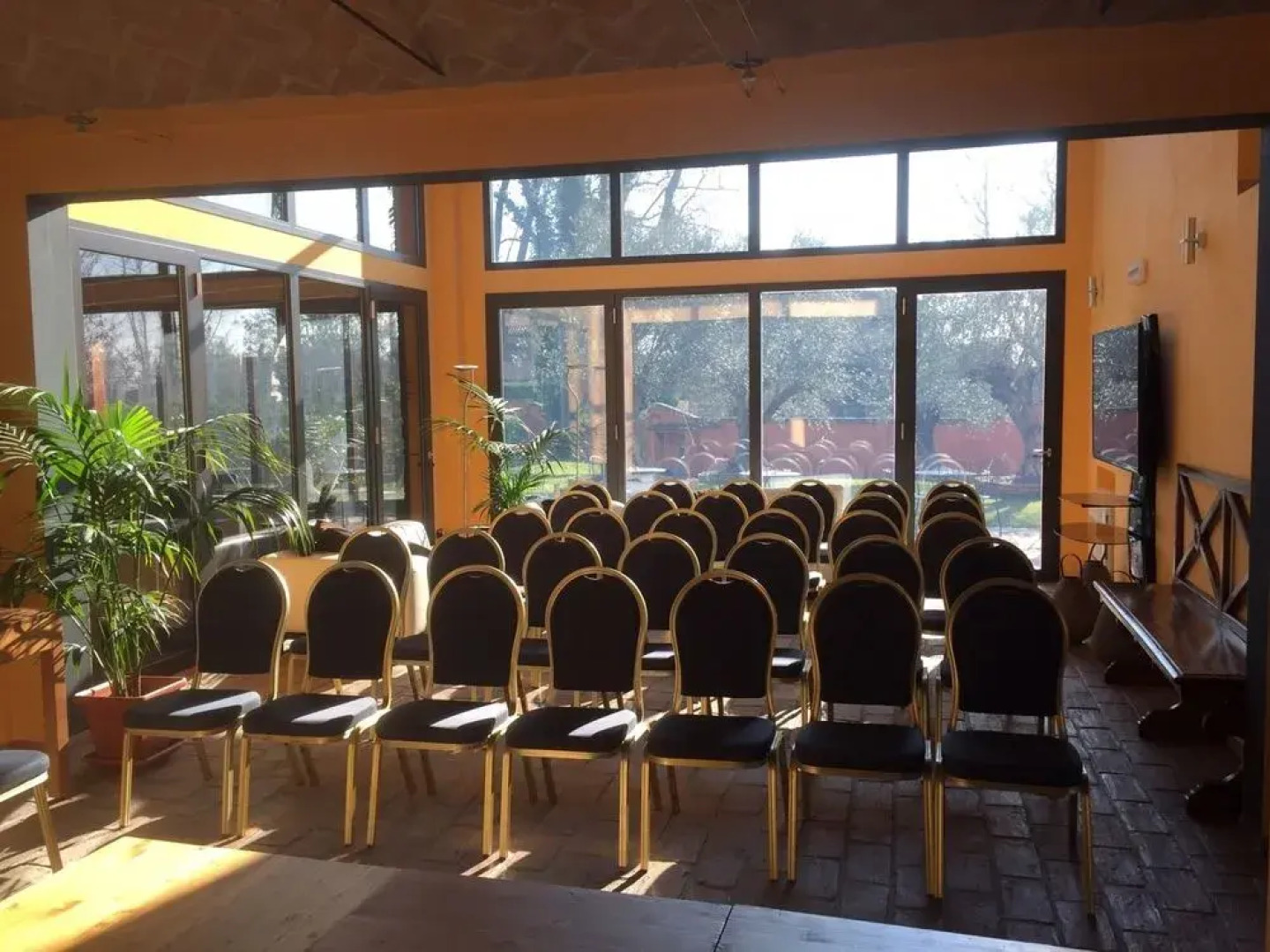 Conte Pietro Ferrara