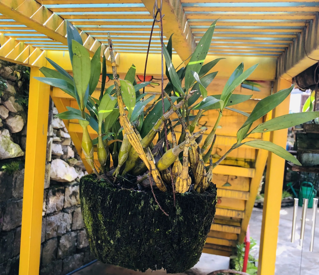 Saigonese Trekking House - Hostel