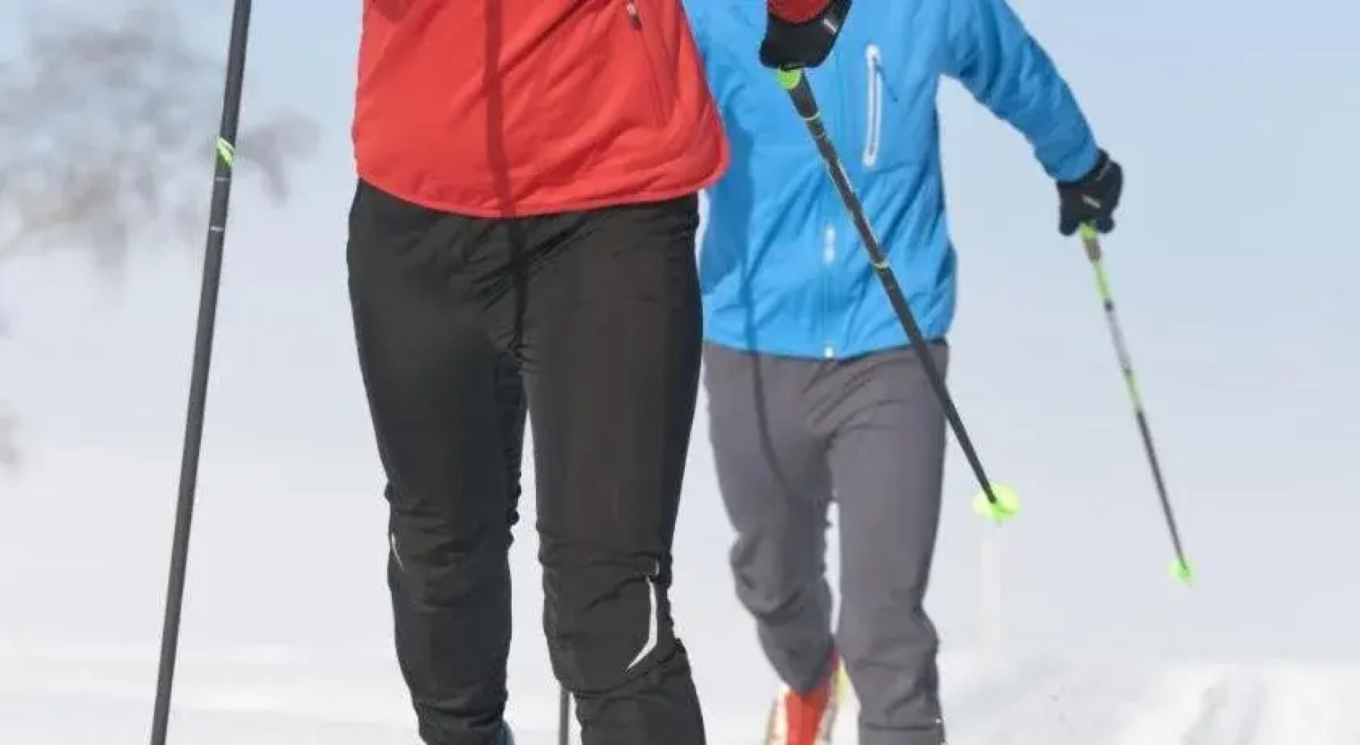 Ferienanlage Altachhof