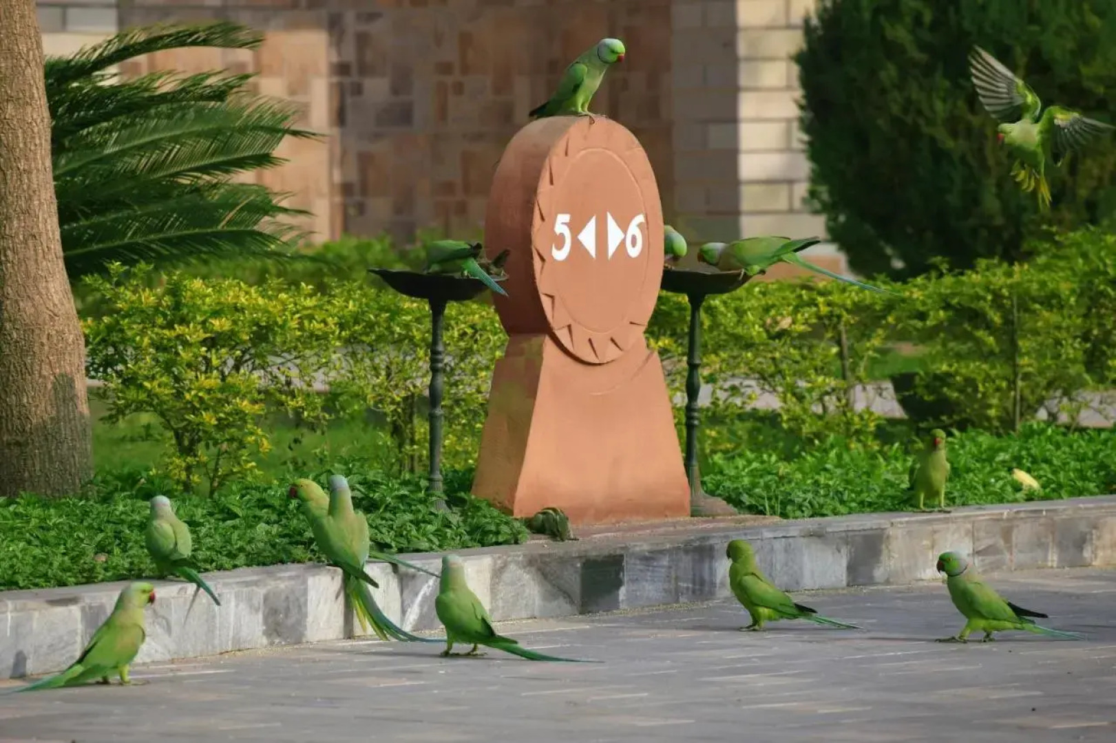 Shri Radha Brij Vasundhara Resort & Spa