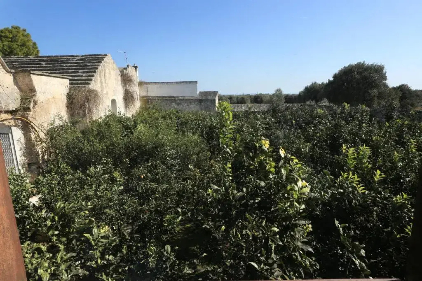 Masseria Pittore