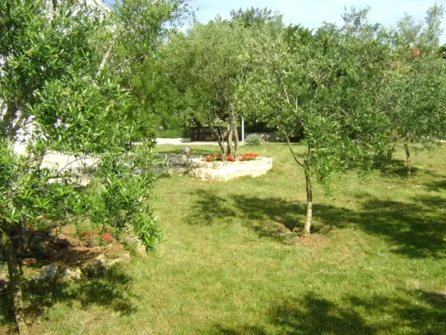 Suzana - Green Oasis - A2