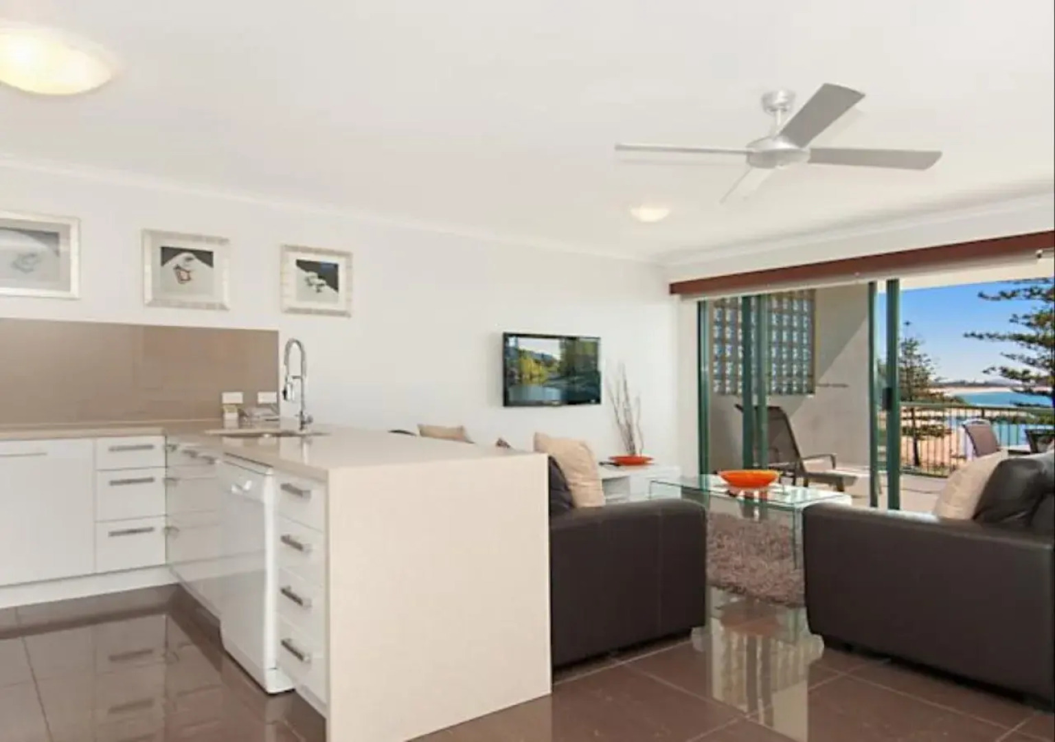 Norfolks on Moffat Beach