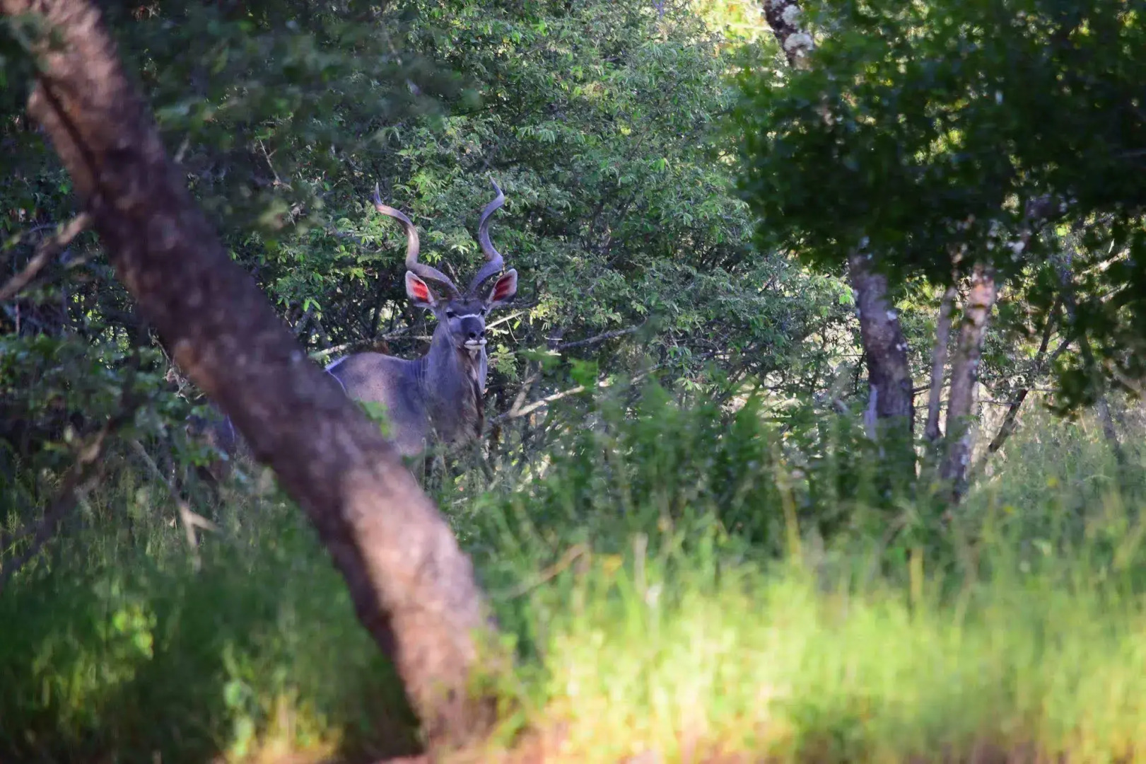 Mananga Private Bush Retreat