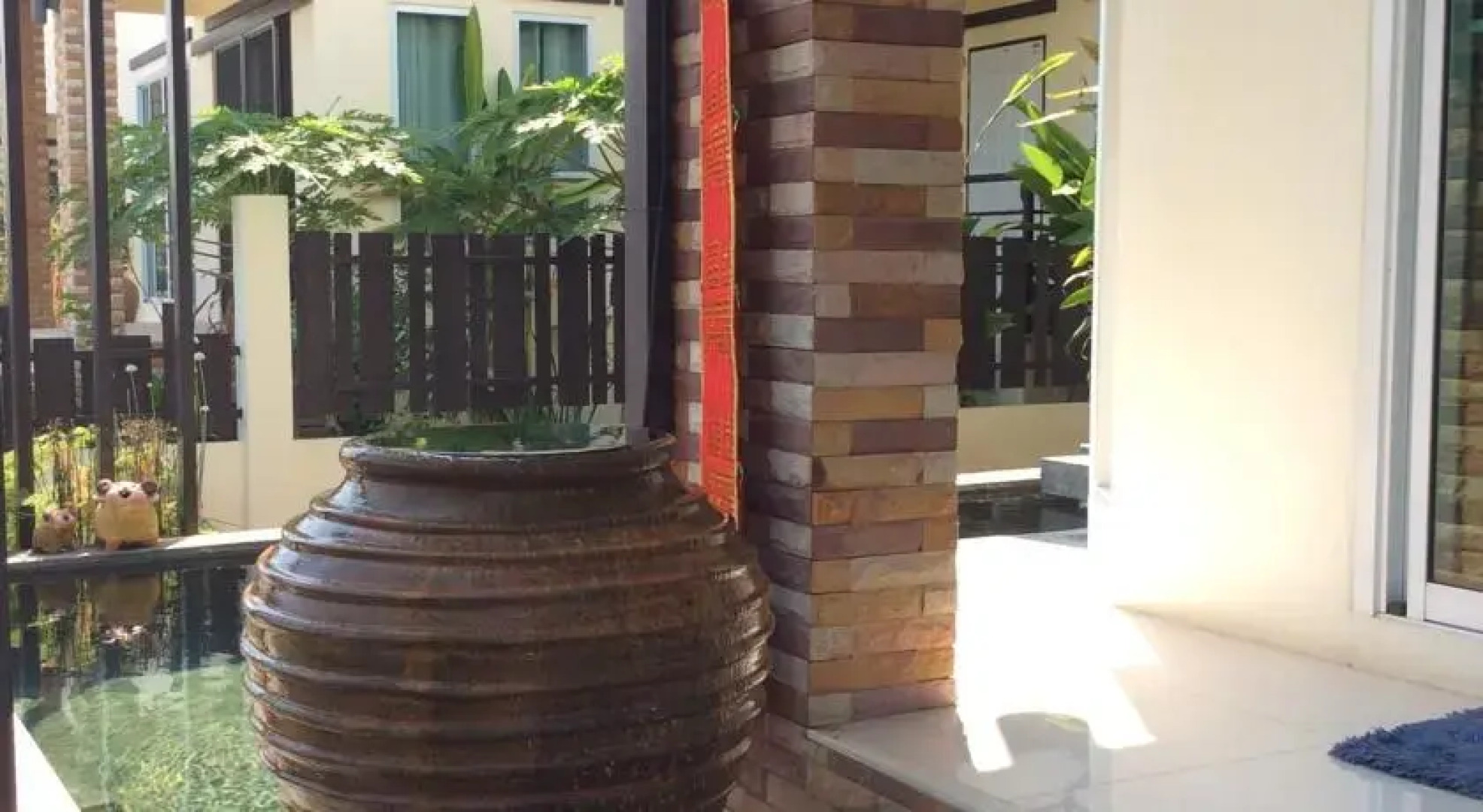 Nature in Chiang Mai