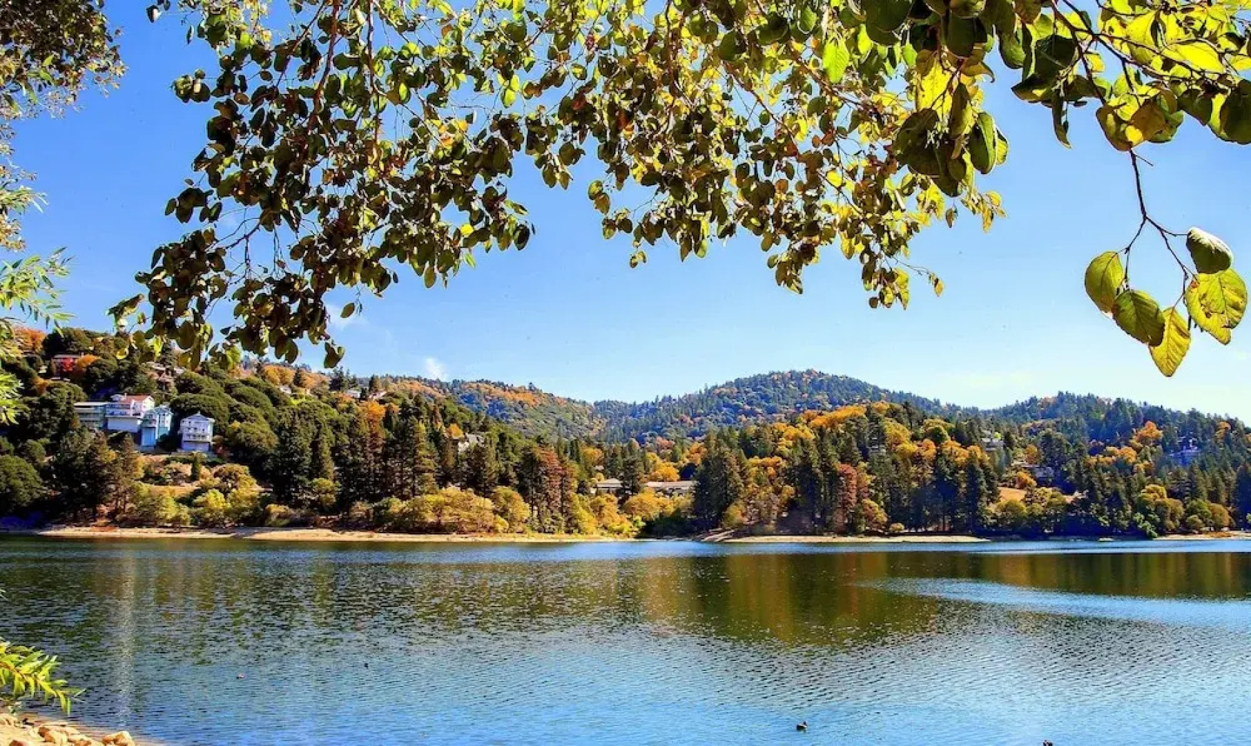 Serene : Forest Views & Wraparound Deck! 3 Bedroom Home