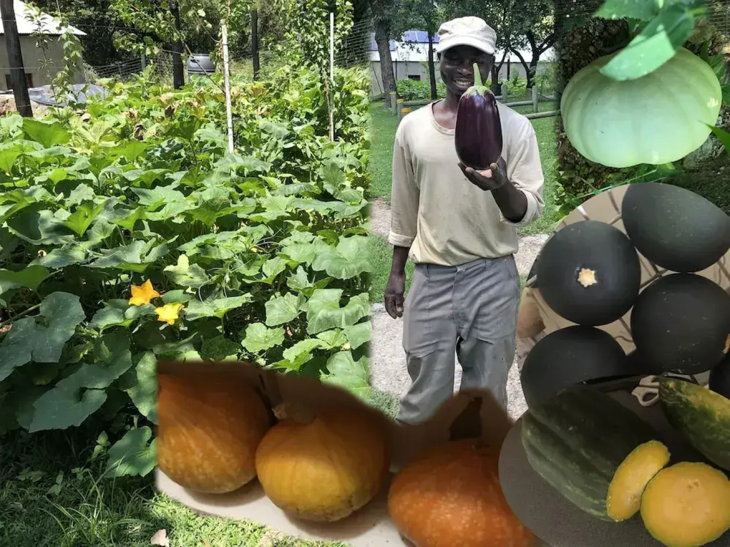 Hills and Dales Accommodation