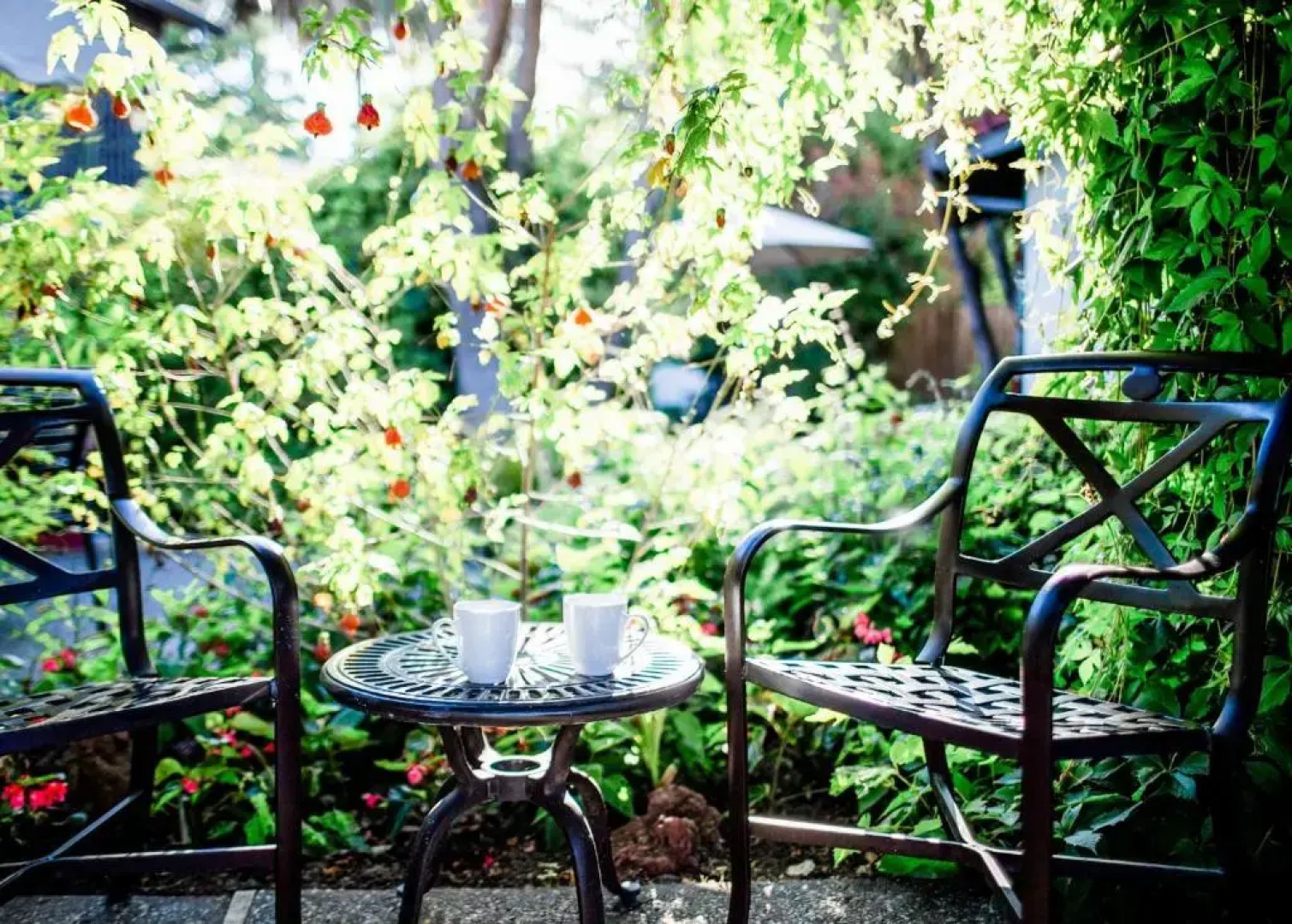 Roman Spa Hot Springs Resort