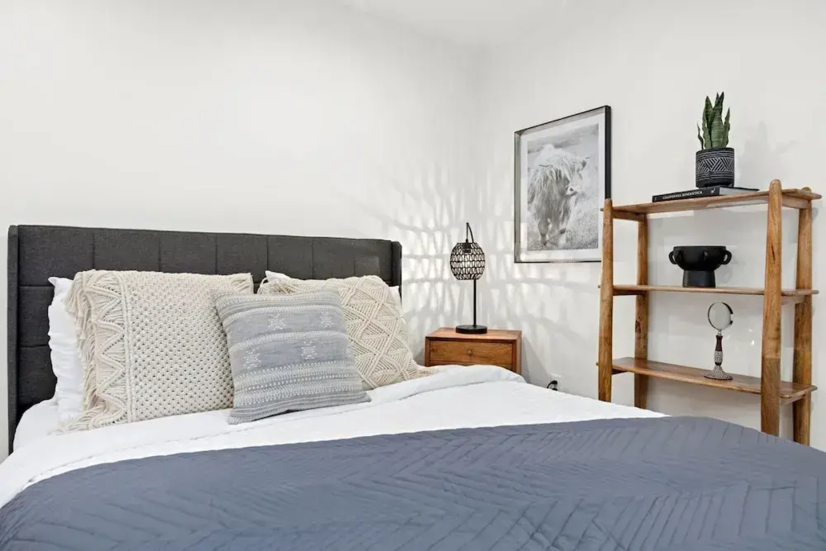 Elegant Old Town Charm – Walk to Csu and Downtown