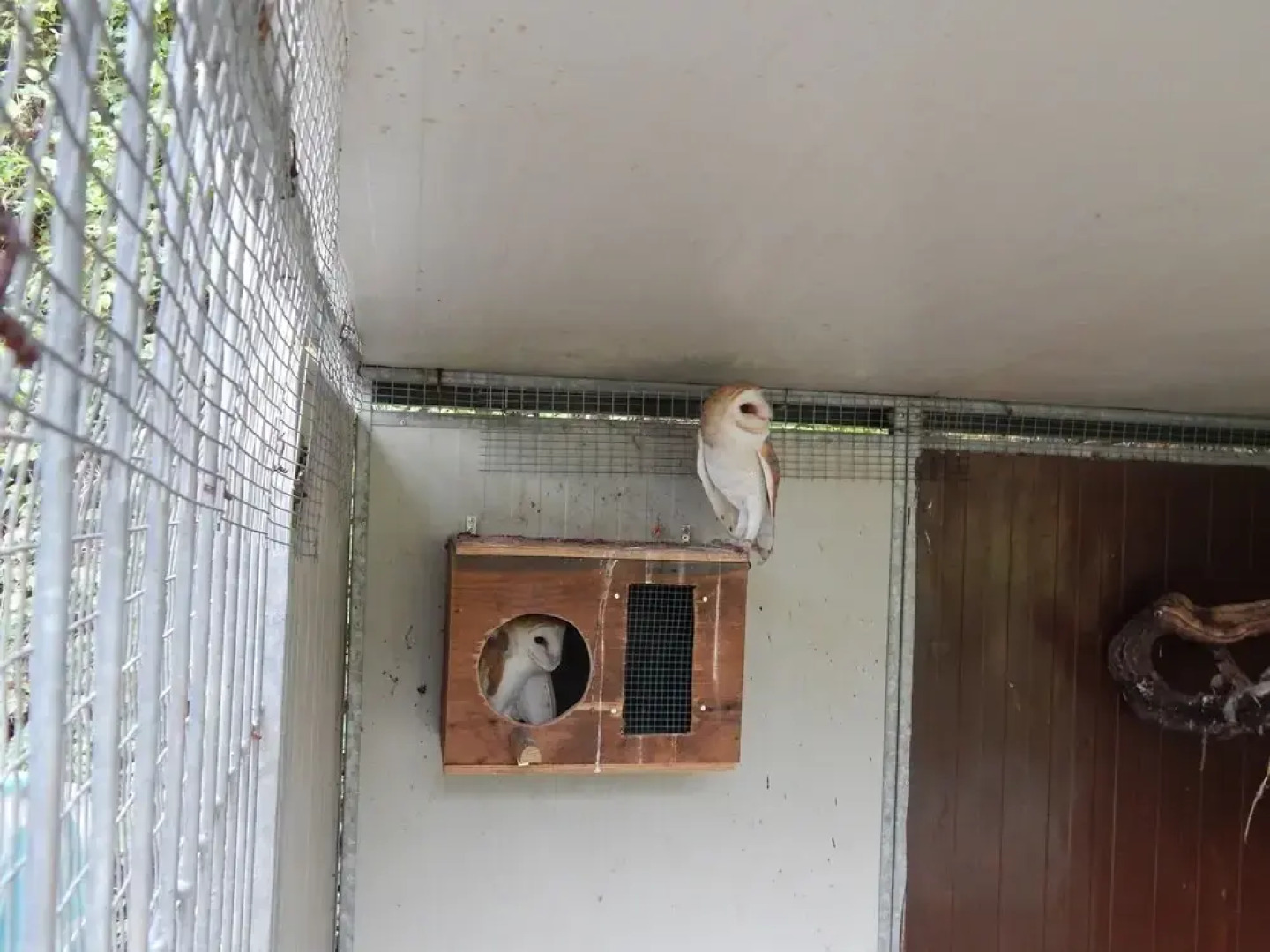 Agriturismo La Selva