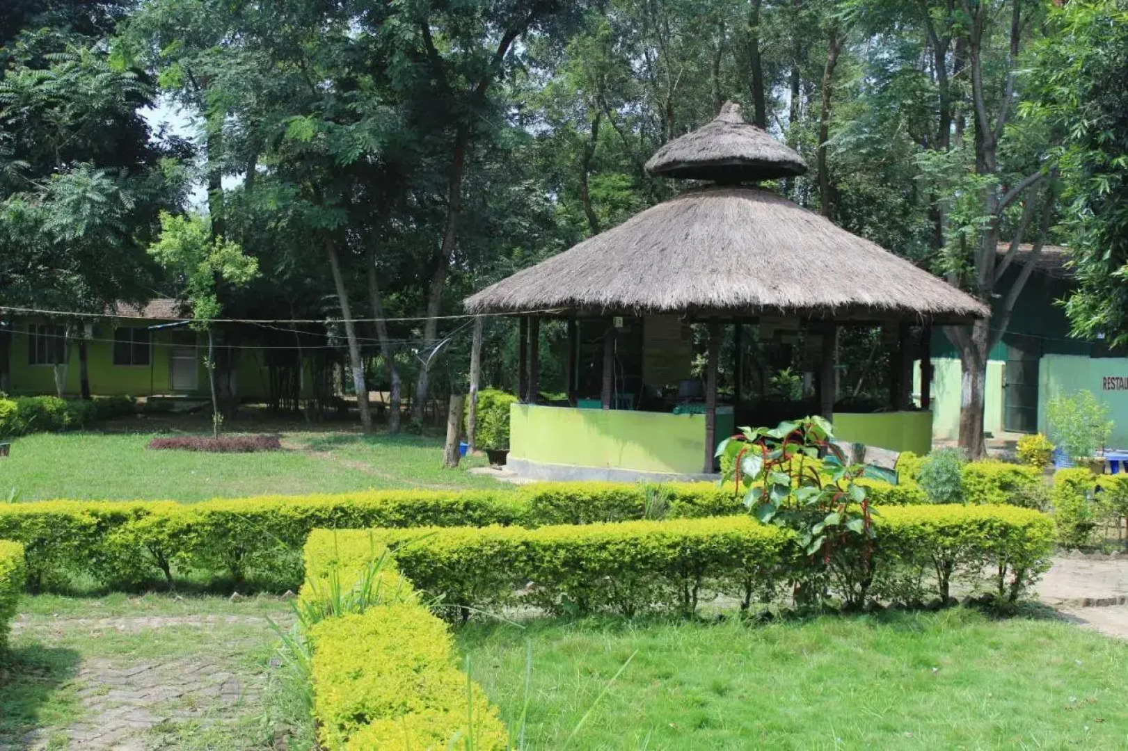 Suklaphanta Jungle Cottage