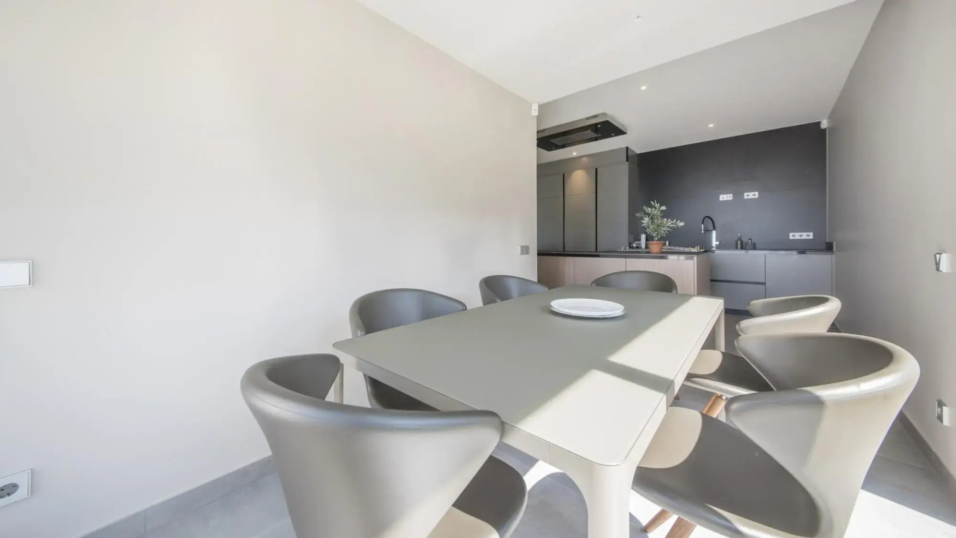 TH85-Limonium-9 in Tarragona