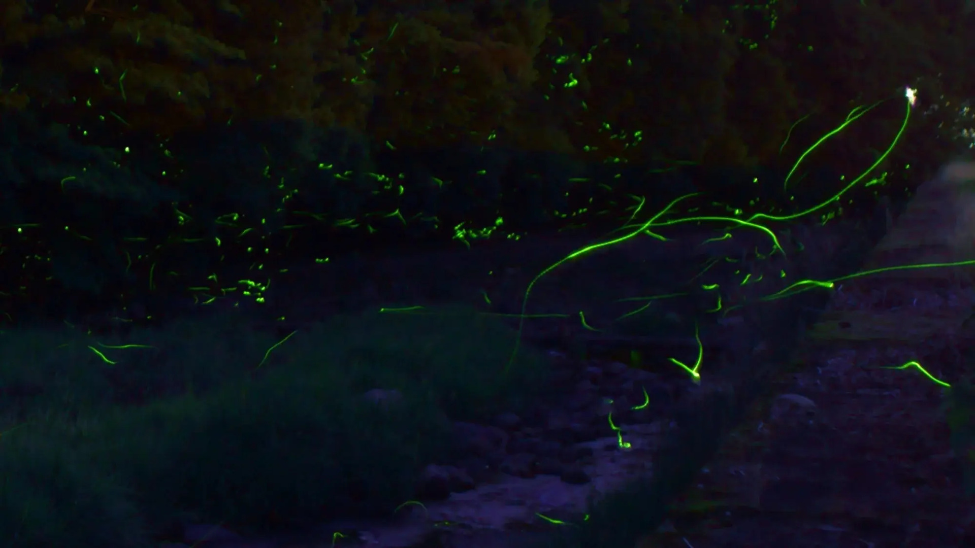 Akame Onsen Sansuien