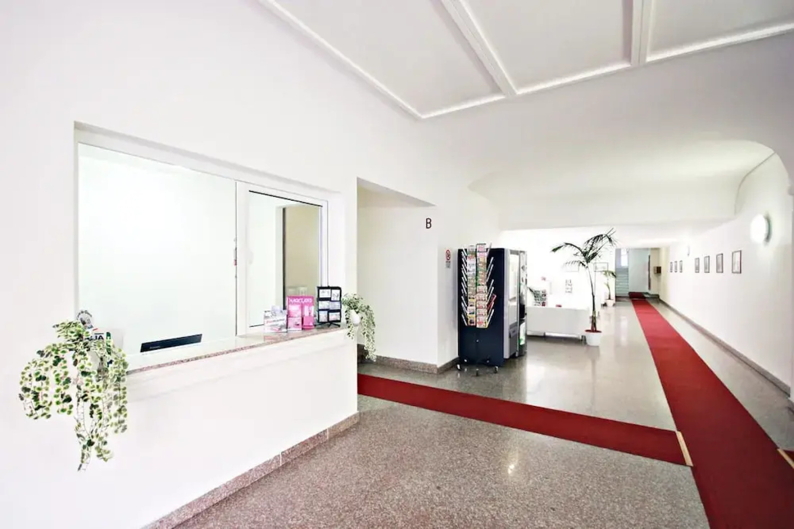 Dodo Holiday in Rome