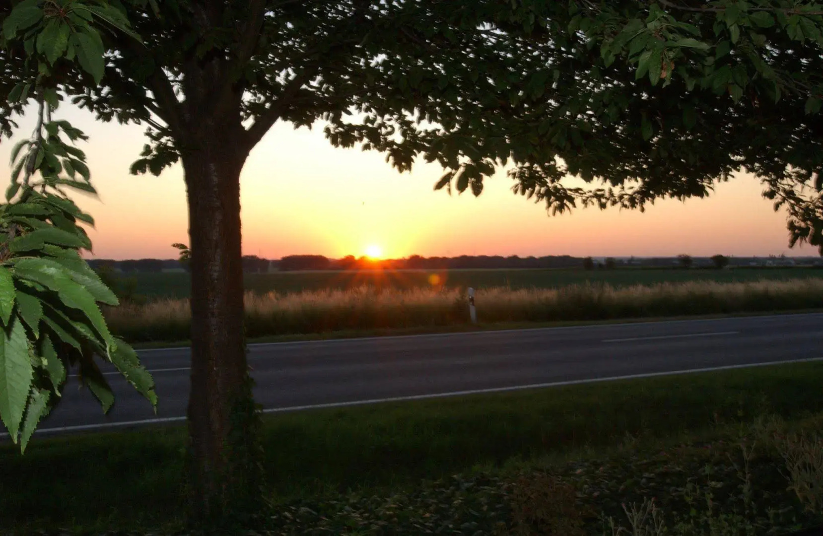 Classik Hotel Magdeburg