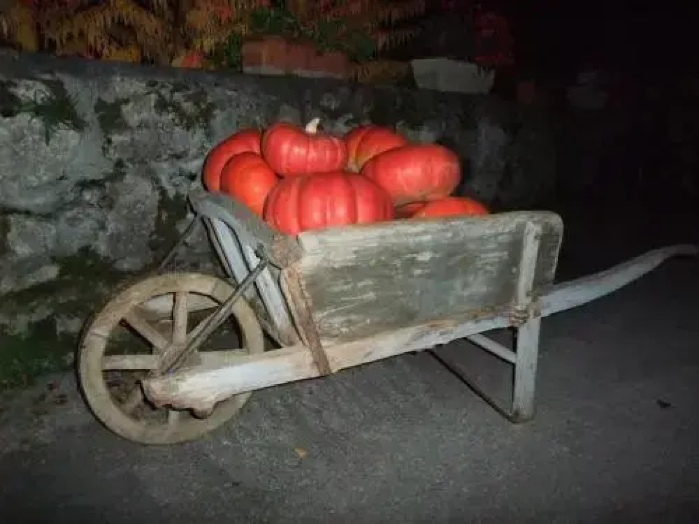 Le Domaine du Grand Cellier Gîtes Appartement en Savoie