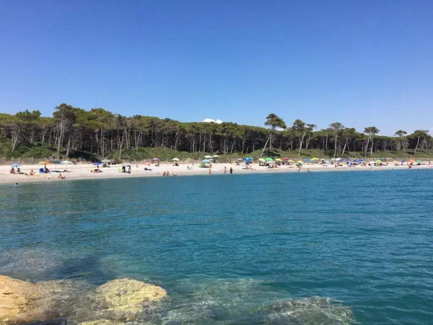 TOSCANA TOUR - Cottage Riccardo Bibbona