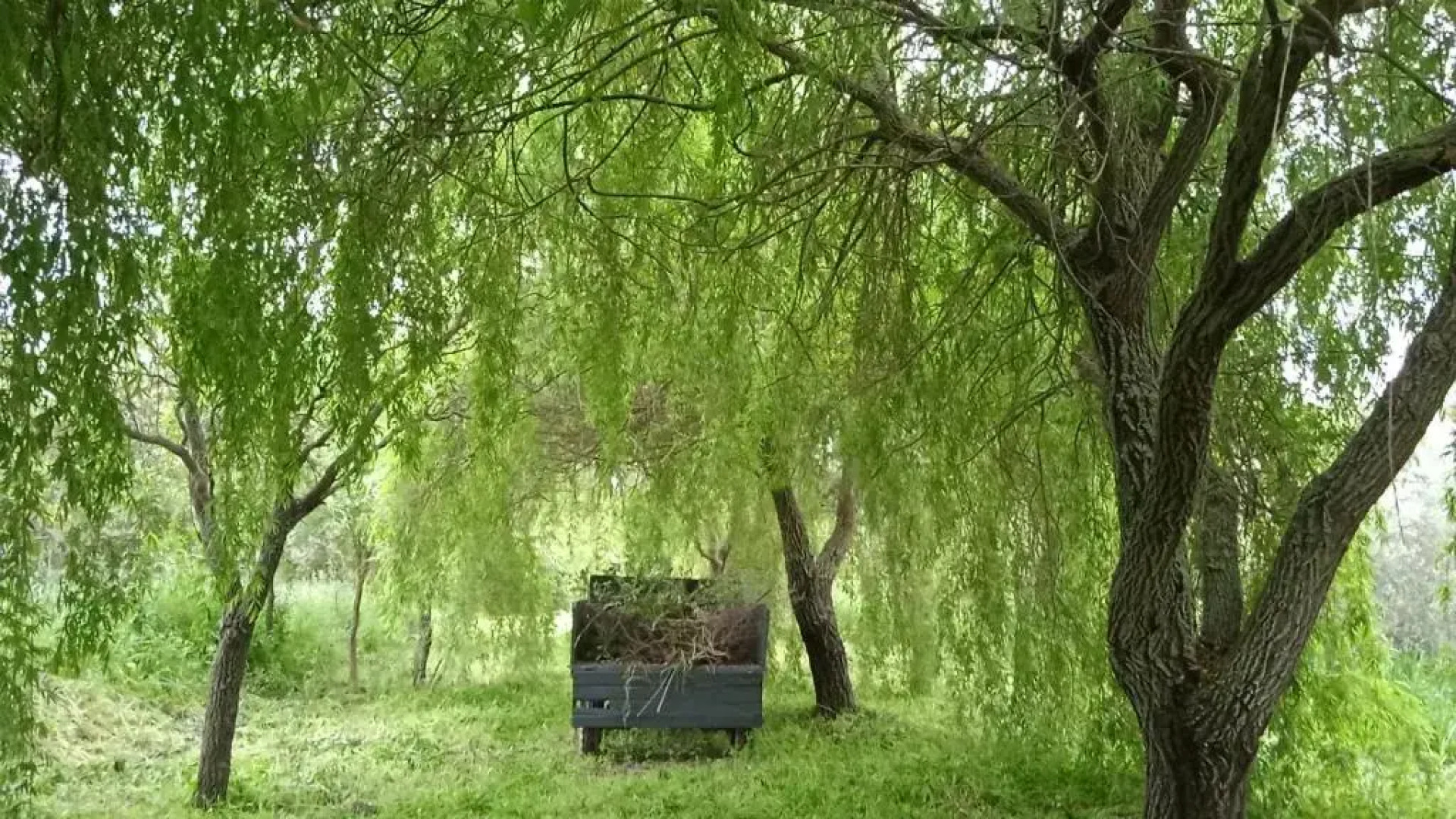 Casa Rural Camino del Alentejo