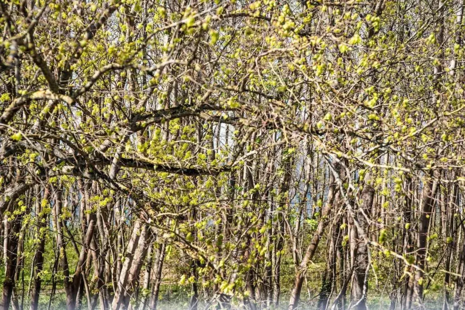 Traumhafte Wohnung mit Sauna - 100m vom Strand